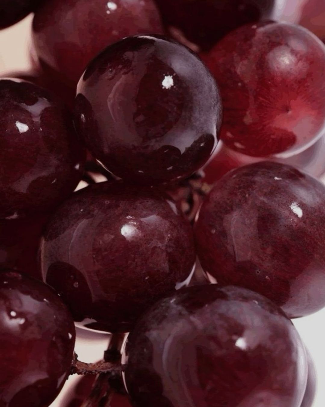 Huile de pépins de raisin